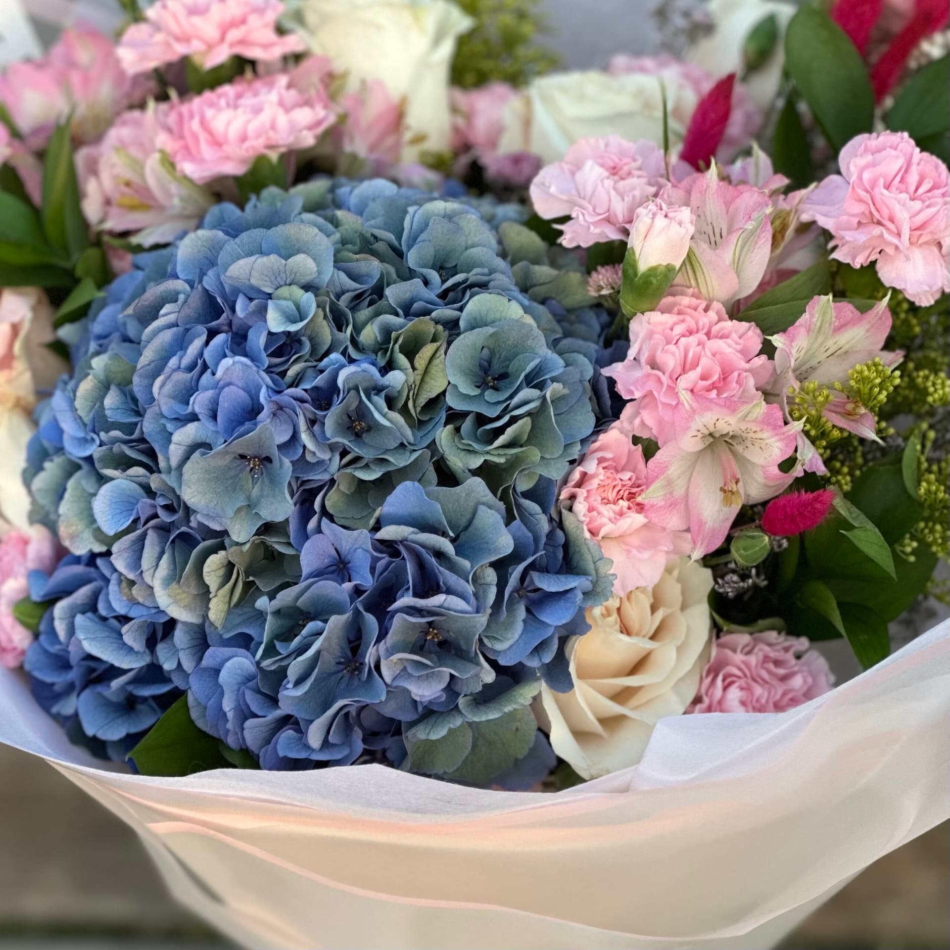 Blue Hydrangea