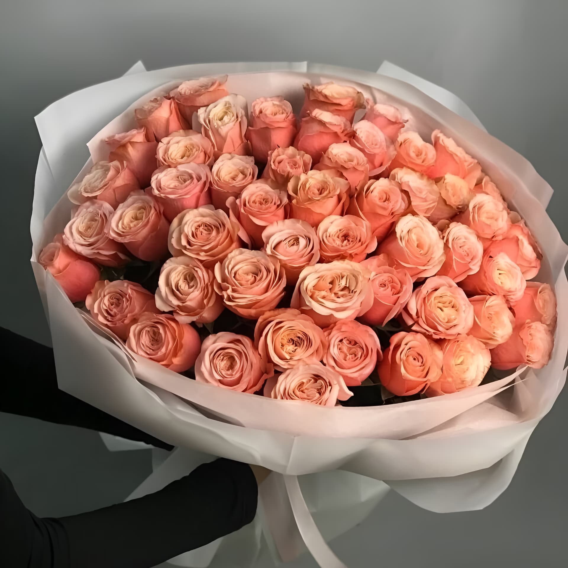 50 Peach Roses