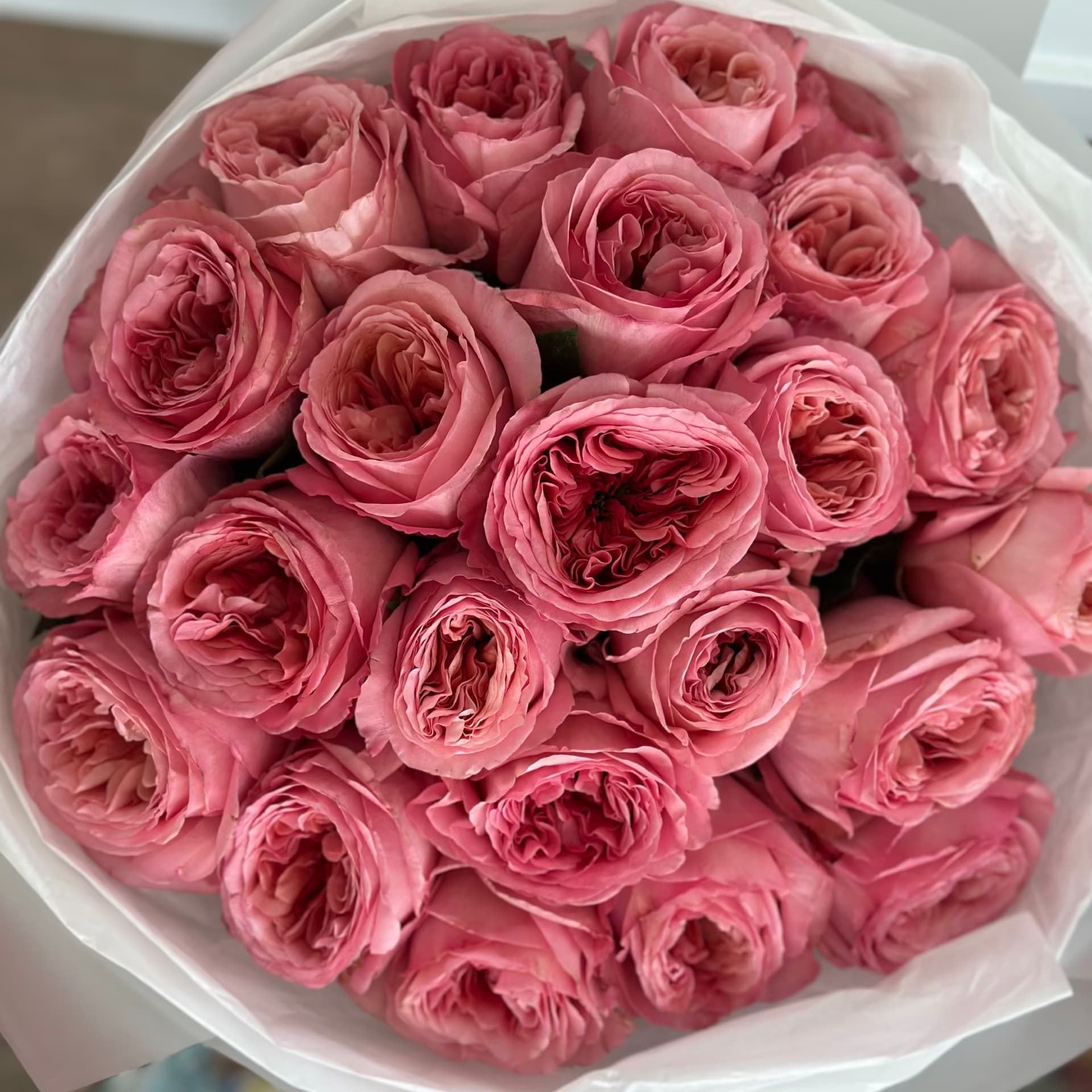 24 Roses Pink Expression