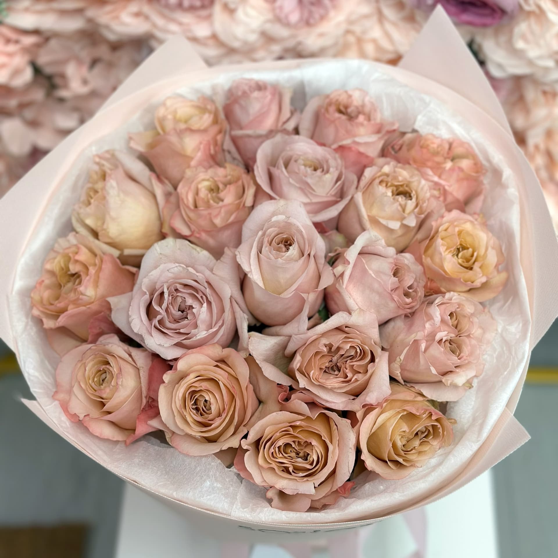 24 Cream Roses