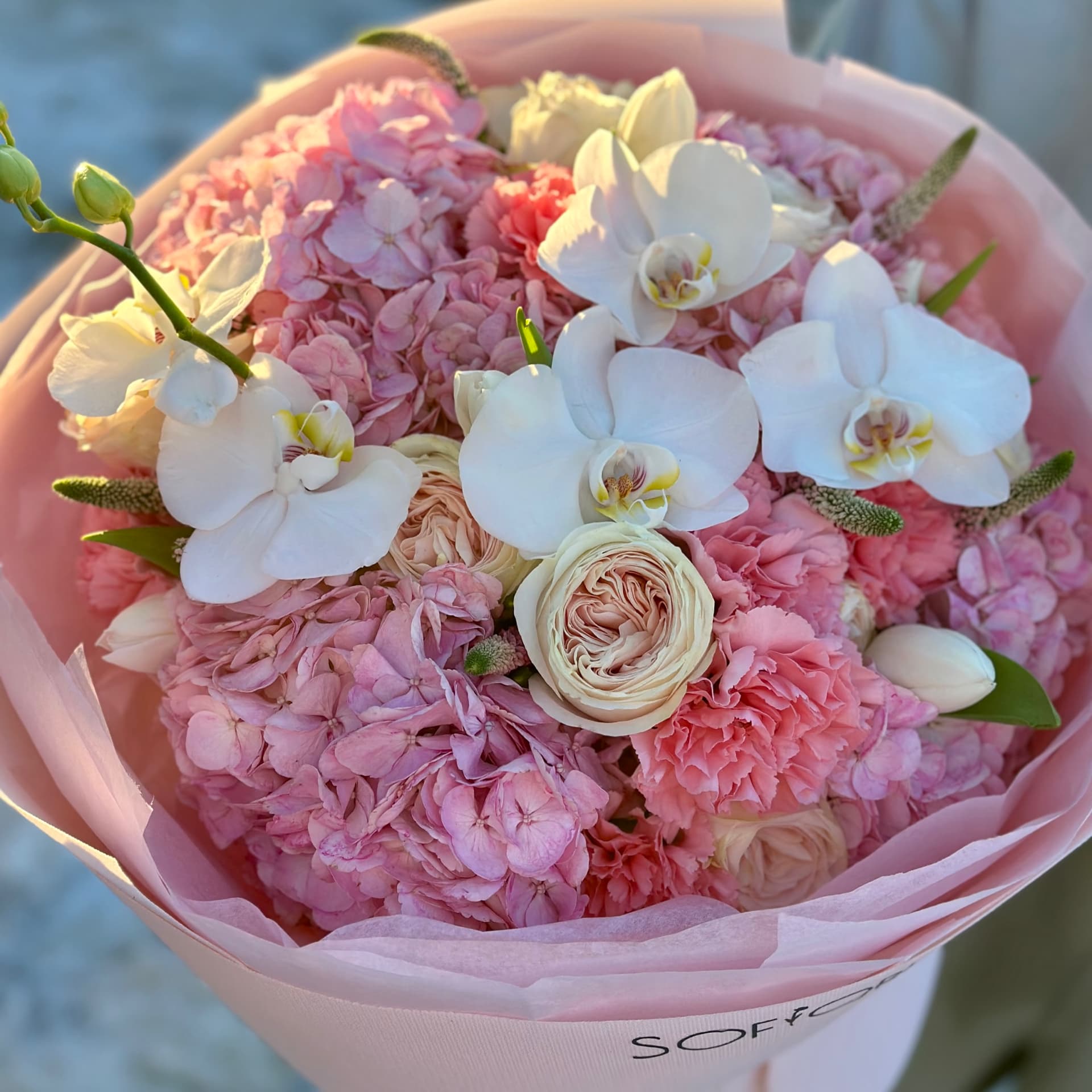 Hydrangeas & Orchids